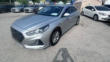 Туристические услуги: Сдается Соната Нью Райс Посуточнов сутки по 2500 сминимум на две — 3