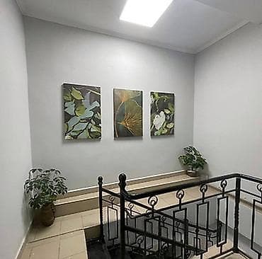 Район дворца спорта Сдается помещение Площадь: 40м2 Этаж: 2