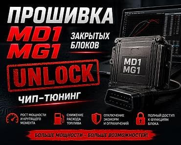 эбу сервис: Прошивка и разблокировка закрытых ЭБУ MD1/MG1 (чип‑тюнинг) - Unlock — 1