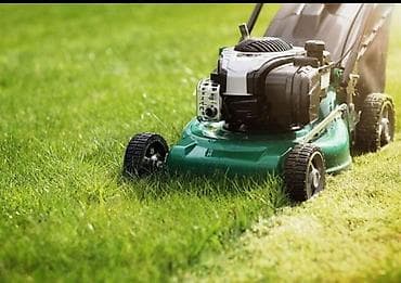 Уборка территории, Стрижка газона