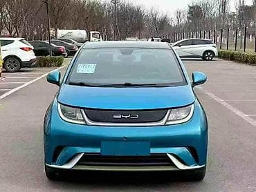 BYD: BYD Dolphin: 2022 г., 0.1 - engine capacity л, Автомат, Электромобиль, Хетчбек — 2