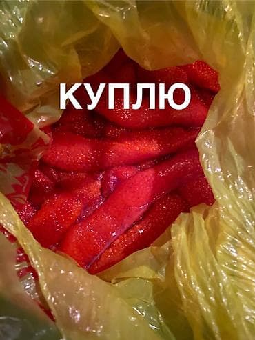 Куплю икру форелевую в ястыках. Ищу свежие или охлаждённые ястыки