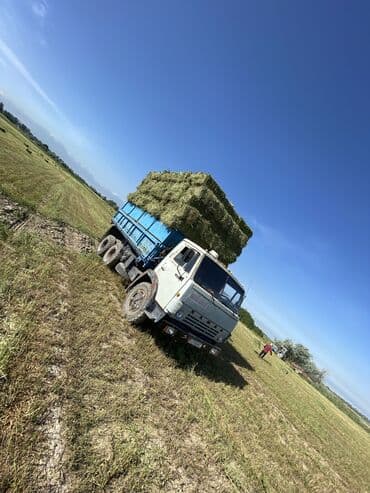 уголь с доставкой бишкек: Услуги камаз
Сокулук 
Александровка 
Садовое
Беловодск — 4