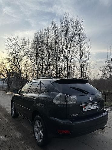 состояние хорошоя: Lexus RX: 2003 г., 3 л, Автомат, Газ, Кроссовер — 6
