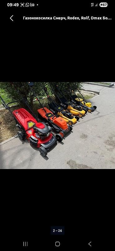 косилка электрическая ручная: Газонокосилки Смерч, Rodex, Rolf, Dmax — ассортимент для ухода за — 1