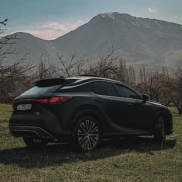 bmw 4 4: Lexus RX: 2024 г., 2.4 л, Вариатор, Гибрид, Кроссовер — 2