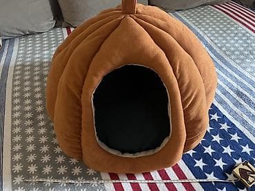 Домик-лежанка для кошек/мелких собак в форме тыквы. Покупалось для — 2