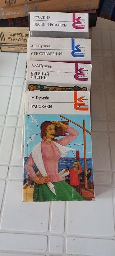 local guide program: Сборник книг русской классики (разные серии и издательства). район — 3