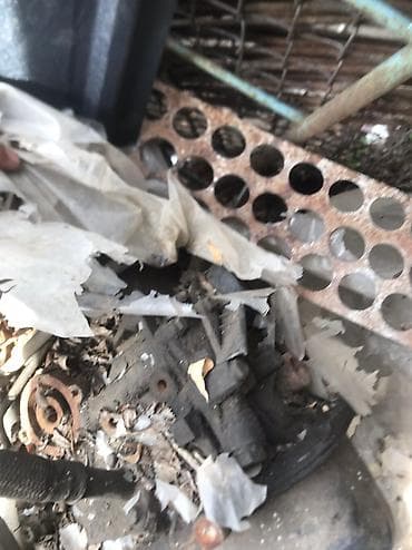 lexus es 330: Дизельный мотор Audi 1996 г., 2.5 л, Б/у, Оригинал, Германия — 2