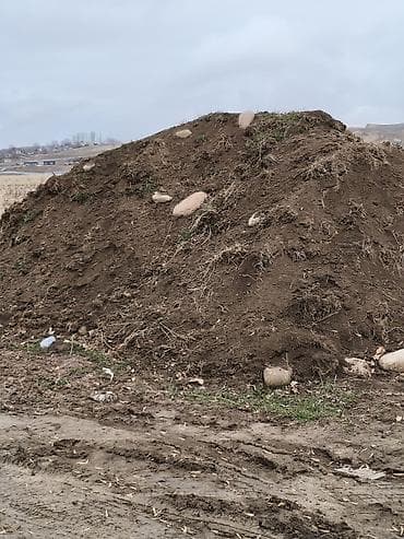 Продам чернозём 1 хово, село Джал at lalafo.kg Продам чернозём 1 хово, село Джал