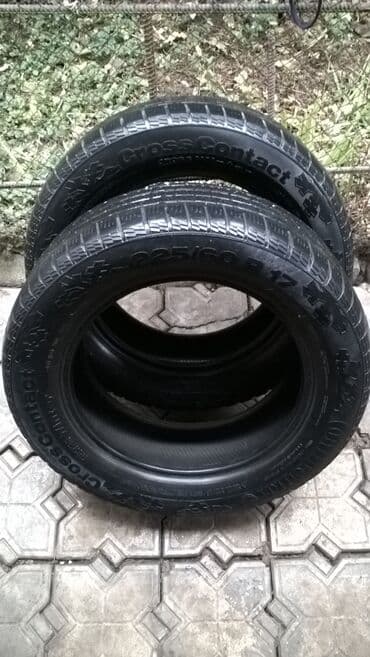 Шины 225 / 60 / R 17, Всесезонная, Б/у, Пара, Германия, Continental