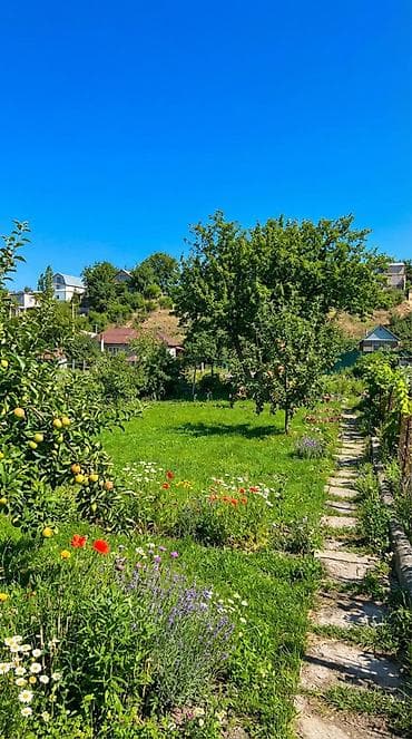 Земельные участки: 10 соток, Для строительства, Красная книга — 8