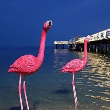 новый год на иссык куле 2022: Коттедж, ПАЛМ БИЧ ЦО Palm Beach, Чок-Тал, Детская площадка, Парковка, стоянка, Охраняемая территория — 1