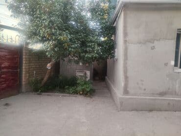 село ленинское дом: 100 м², 3 комнаты, Утепленный — 2