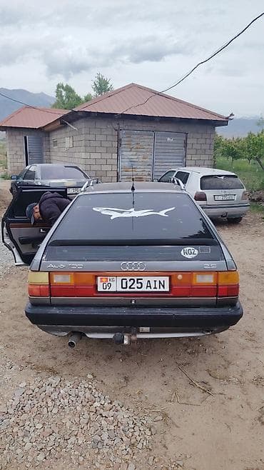 воздушные фильтра: Audi 100: 1989 г., 2.5 л, Механика, Бензин, Универсал — 4
