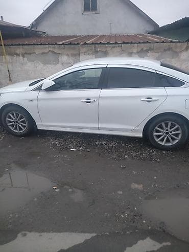 адиссей абсолют: Сдаю в аренду хюндай соната Нью-Райз и КИА день1600. сом — 2