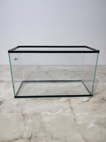 аквариумная рыбка: Прямоугольные — 2