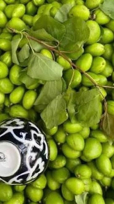 цукаты: Свежие зелёные зизифусы (унаби) — ранний сбор - Сорт: столовый, плоды — 1