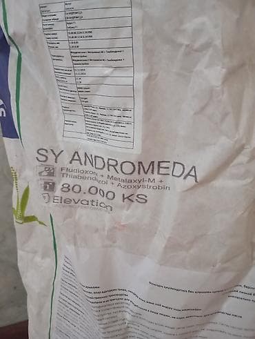 кочерыжка кукурузы: Семена кукурузы Syngenta SY Andromeda (гибрид F1) 16 кг - — 2