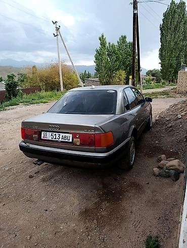 Audi 100: 1993 г., 2.8 л, Бензин, Седан — 4