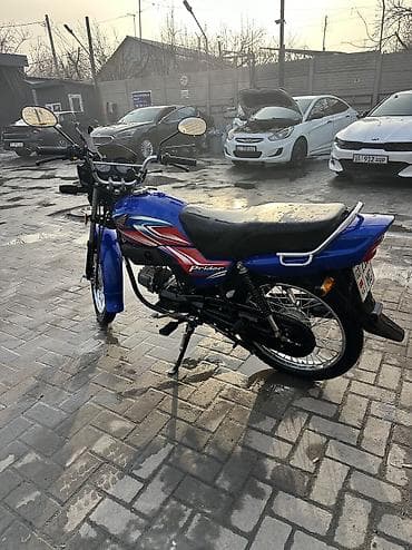 скуто: Мини мотоцикл Honda, 100 куб. см, Бензин, Взрослый — 3