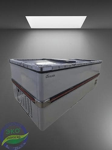 морозильные камеры новый: Китай, Новый, В наличии — 2