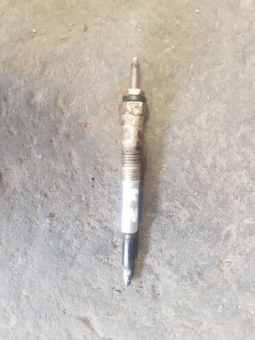 купить золотистого ретривера: Свечи — 1