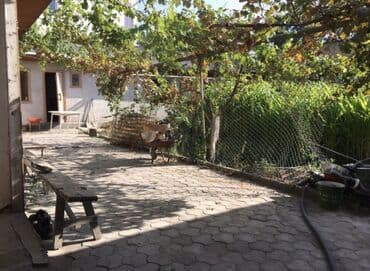 дом в селе сокулук улица новая: Дом, 1 м², 5 комнат, Собственник, Старый ремонт — 1