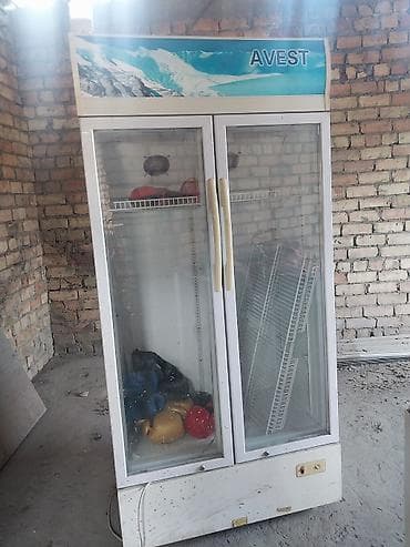 Холодильник сатам иштейт баасы 25 минсуйлошуу жолу болот