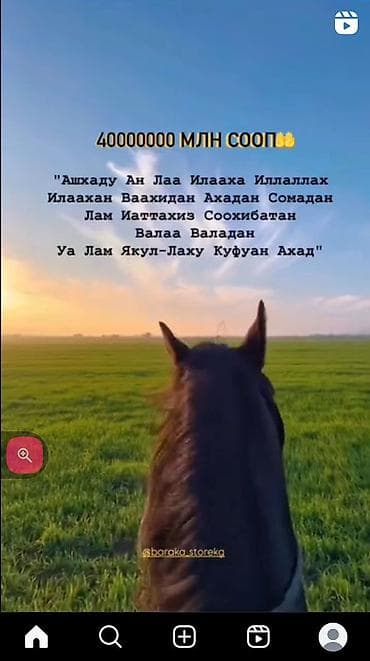 идеальном: Ассалом алейкум унаа сатуучулар,унаа алам болуп толоо жолу — 1