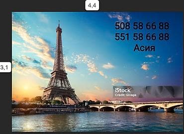 плинтус работа: Обои Обои Обои. Поклейка обоев: виниловые обои,флизилиновые обои,фото — 3