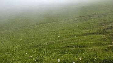 сел: Ферма КРС, 30 соток, Не действующий, Без оборудования, Без коммуникаций — 8