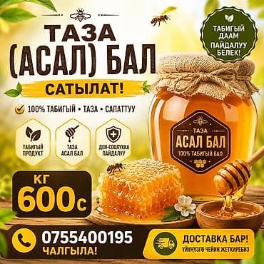 Натуральный мёд “Таза (Жумгалдын таза Балы) Бал” — 100% чистый — 1