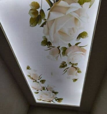 сейф пакет: Натяжной потолок жасайбыз тез жана сапаттуу 3D 1кв ом гланцывый 1кв — 26