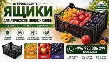 Пластиковые ящики для абрикосов, яблок и сливы - От производителя -