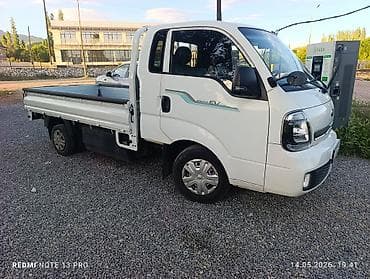 Легкий грузовик, Kia, Стандарт