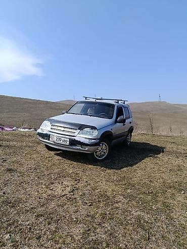 ниваа: Chevrolet Niva: 2006 г., 0.7 л, Ручные, Бензин, Кроссовер — 8