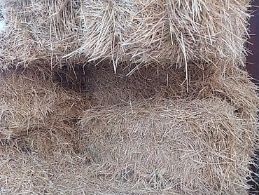 ящик сатылат: Солома в тюках 1000тюк также есть сено эспарсет 800 тюков - — 1