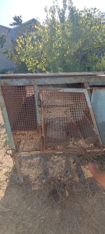 оборудование для корма: Для кроликов — 3