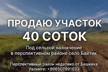хозяйства: 40 соток, Для сельского хозяйства — 1
