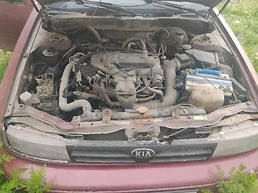 good year: Kia Sephia: 1991 г., Механика, Бензин, Седан — 4