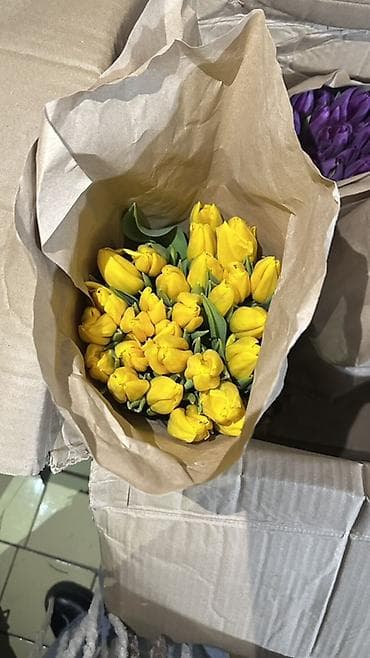 Цветы и букеты: Тюльпаны, срезка в крафт-упаковке. - Ассортимент оттенков — 2