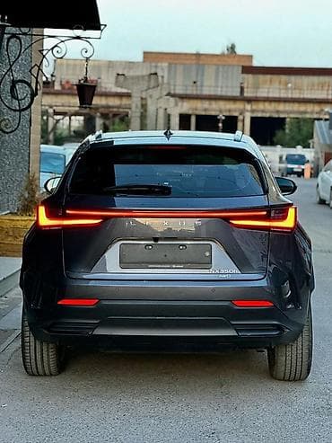 lexsus 330: Lexus NX: 2022 г., Гибрид, Кроссовер — 2