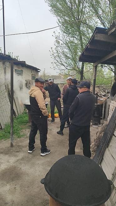 авто краска: Декоративная отделка стен: мокрый шелк, песок - Профессиональное — 2