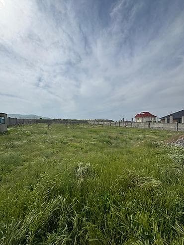 6 соток, Курулуш, Сатып алуу-сатуу келишими, Кызыл китеп — 5