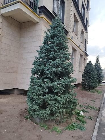 58: 1 комната, 36 м², парк Фучика Элитка, 7 этаж, Евроремонт — 9