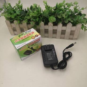 блоки питания для ноутбуков delta electronics: Блок питания BH-09022 9V-2A (вилка Китай или USA). Power Adapter — 1