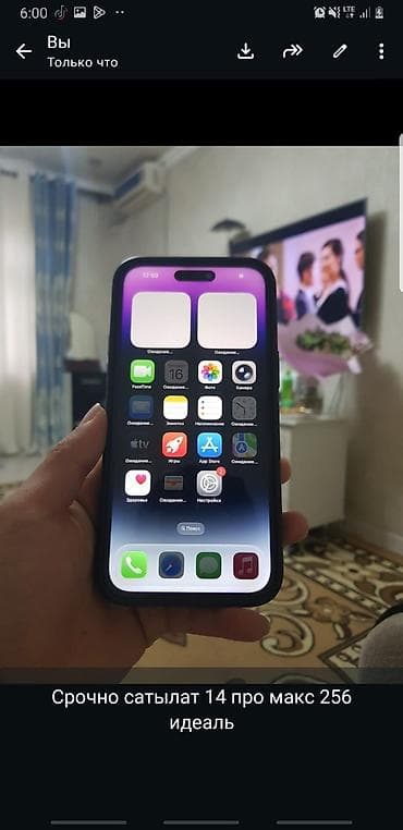 IPhone 14 Pro Max, 256 ГБ, Чехол at lalafo.kg IPhone 14 Pro Max, 256 ГБ, Чехол