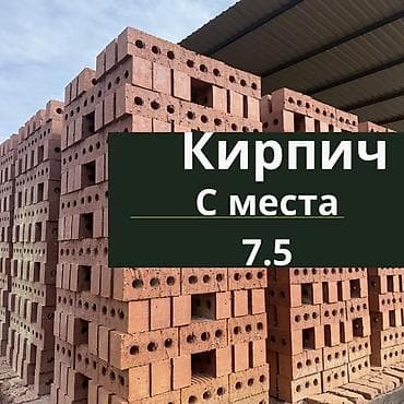 Сейфы: Пустотелый, дырчатый, Жженый кирпич, Полублок, 250×120×90 — 1