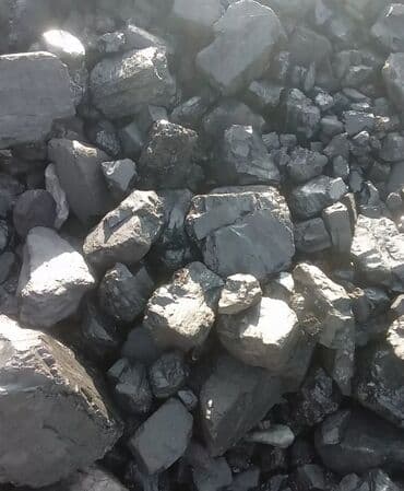 Садовые инструменты и инвентарь: Беш Сары Кара кече 
5500 — 2